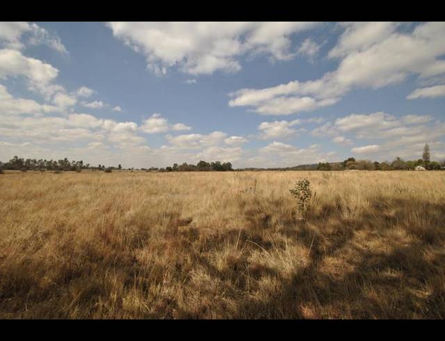 FARM FOR SALE IN EYE OF AFRICA